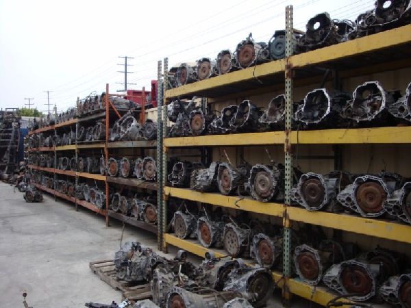 Organized Inventory